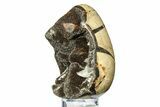 Septarian Dragon Egg Geode - Barite Crystals #308816-1